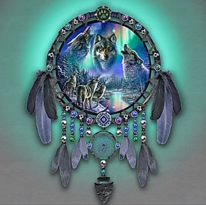 Aurora Borealus wolf dreamcatcher